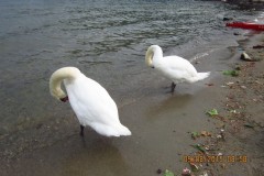 Image00140