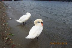 Image00144