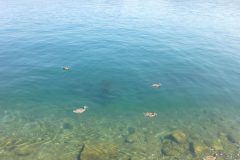 Image00904
