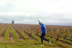 beaujolais_0071