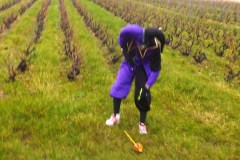 beaujolais_0100