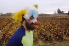 beaujolais_0101