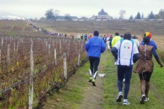 beaujolais_0112