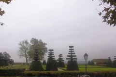 beaujolais_0131