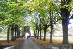 beaujolais_0139