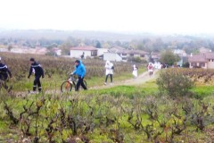 beaujolais_0145