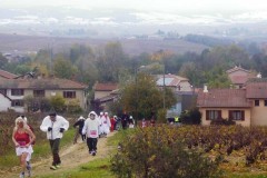 beaujolais_0146