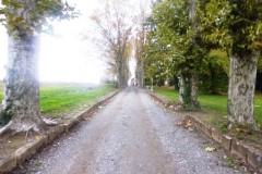 beaujolais_0152