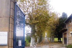 beaujolais_0154