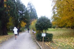 beaujolais_0168