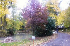 beaujolais_0177