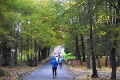 beaujolais_0198