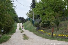 Image00240
