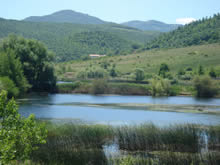 intro pantano