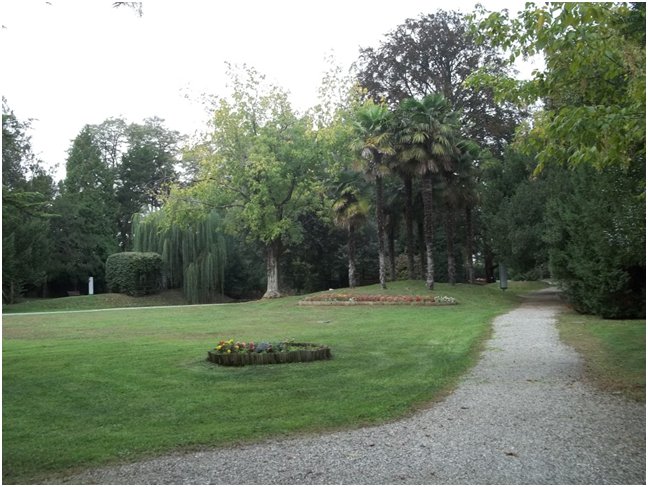 foto4