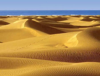 3 Gran Canaria