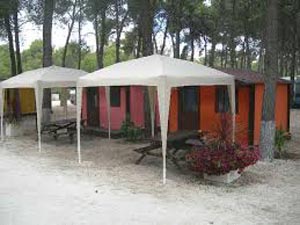 003 Casalino