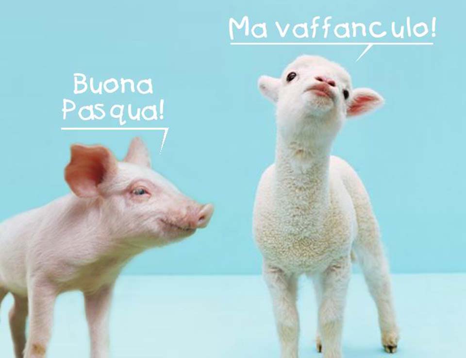 01 Buona Pasqua