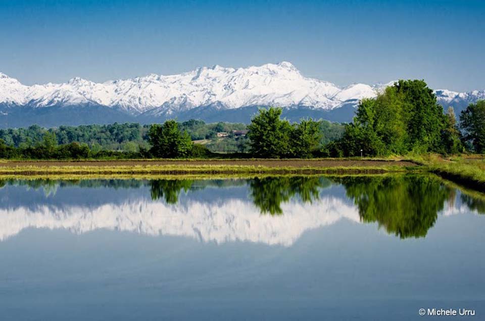 Riso risaie e monte rosa