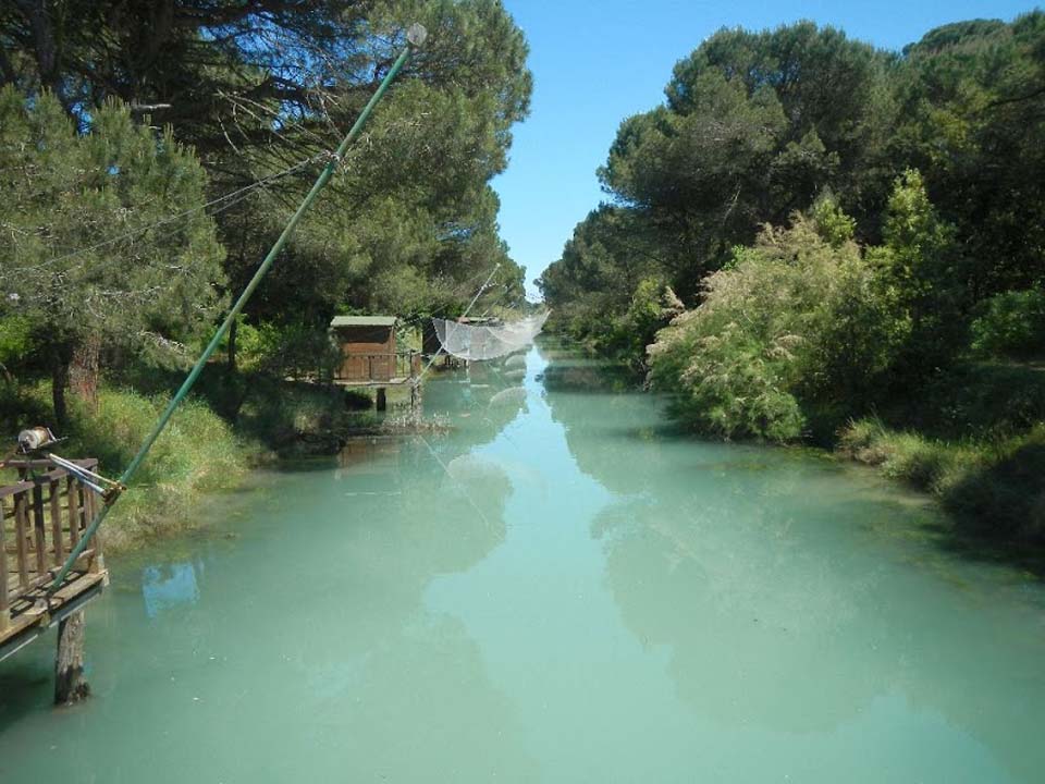 DSCN0241