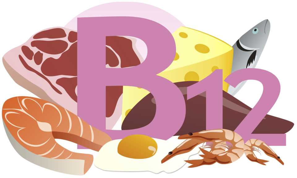 02 b12vitamin b12