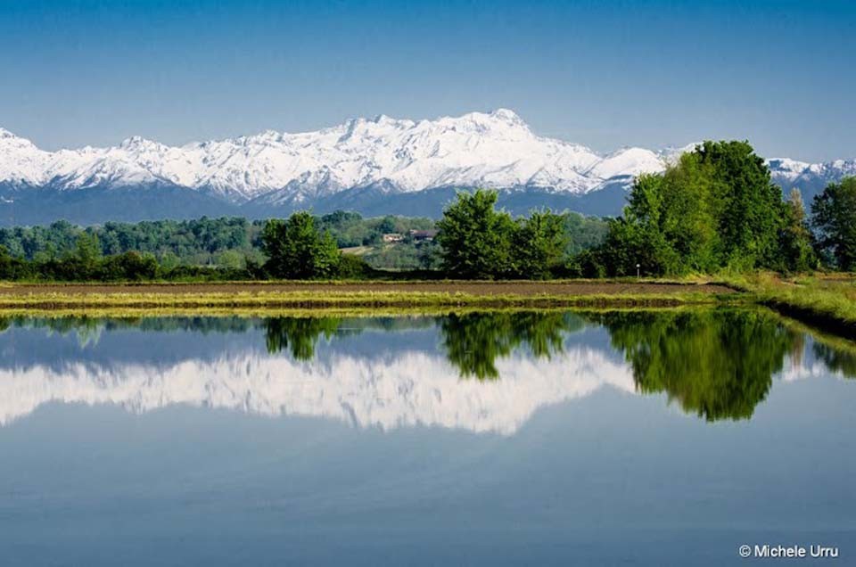 Riso risaie e monte rosa