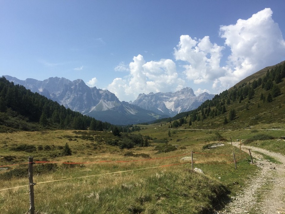 018