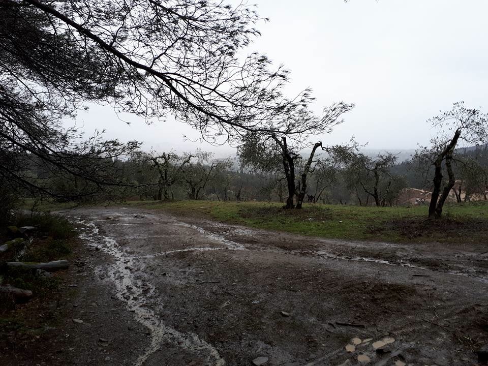 in mezzo allarticolo 1