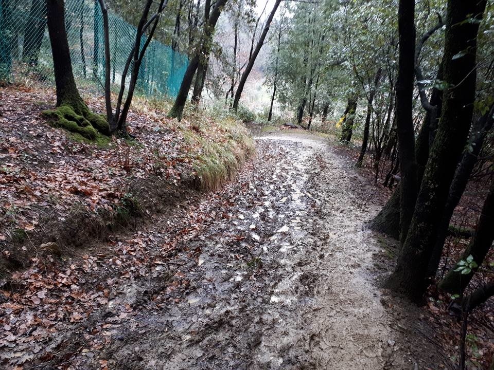 in mezzo allarticolo 2