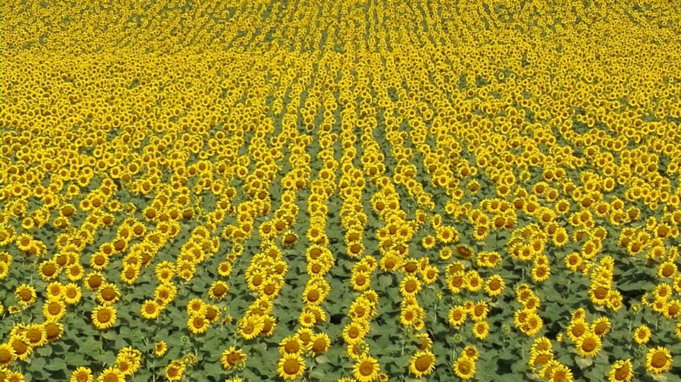 022