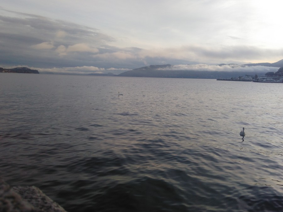 IMG 20181103 162427