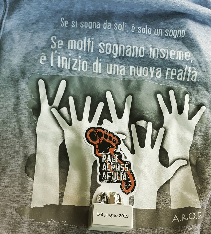 61978628 133816321139769 3257344519166754816 n