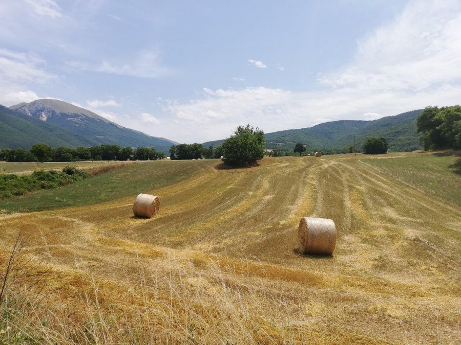 IMG 20190727 135233