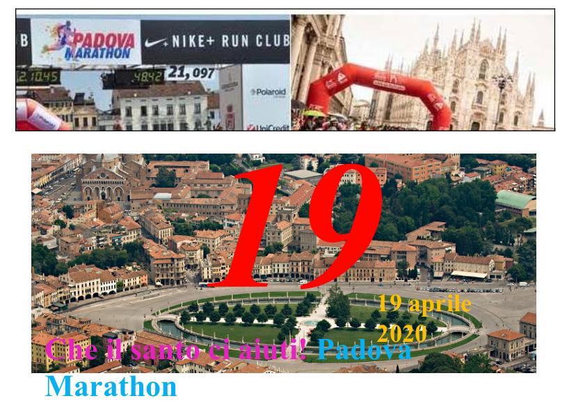 3.PETTORALE PADOVA