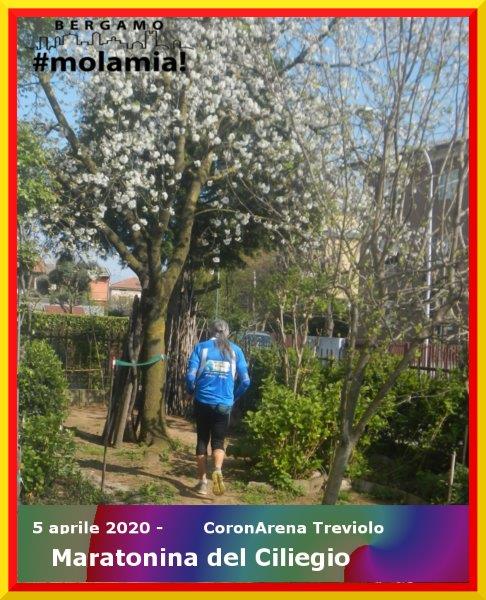 20200405 Maratonina del Ciliegio 03