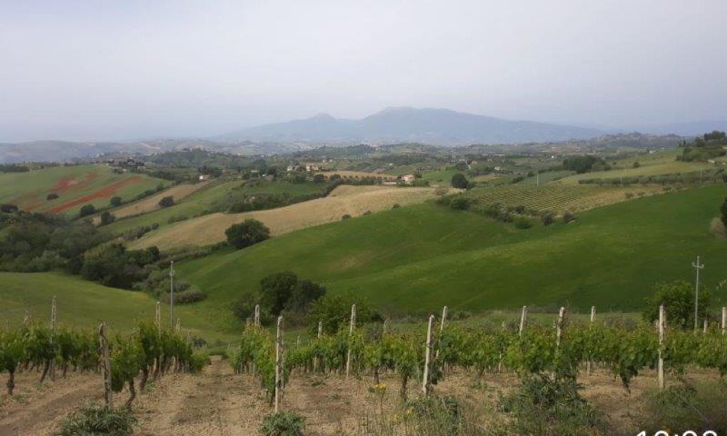 CAPECCI 4
