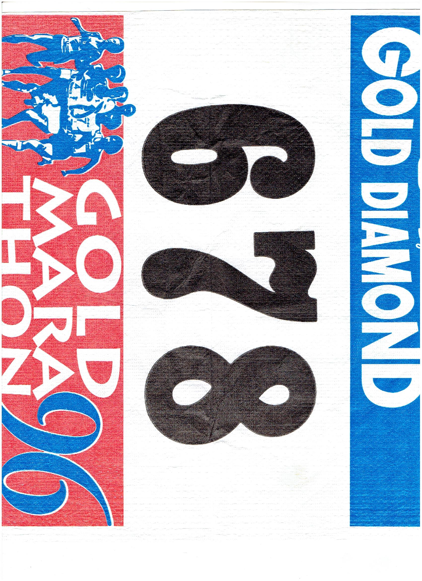 gold marathon 003.jpg