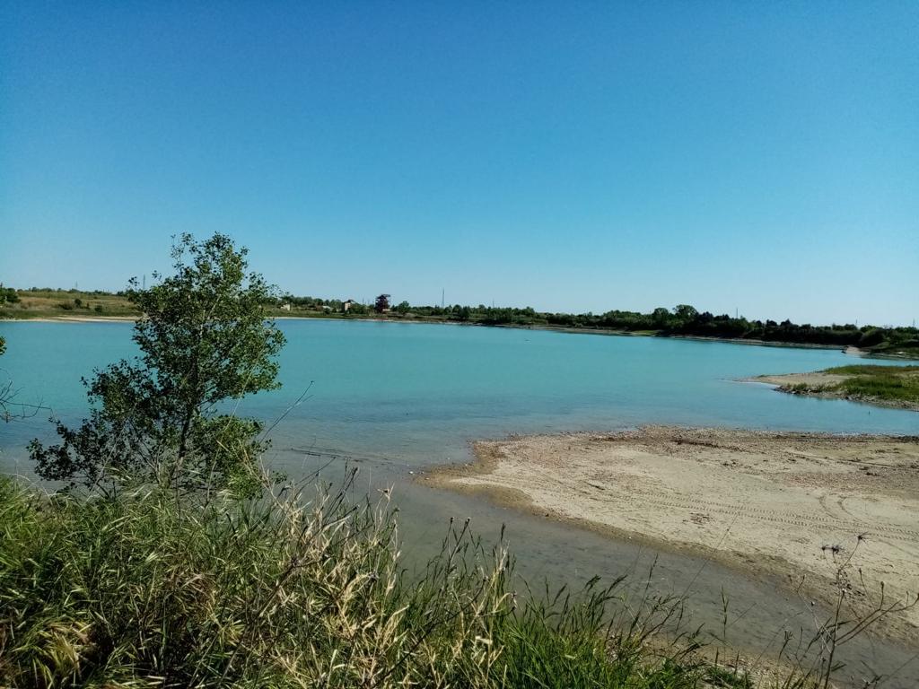 polidori 10