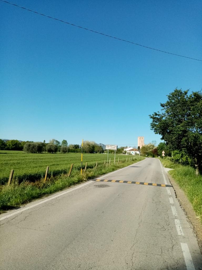 polidori 5