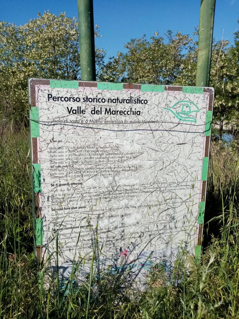 polidori 8