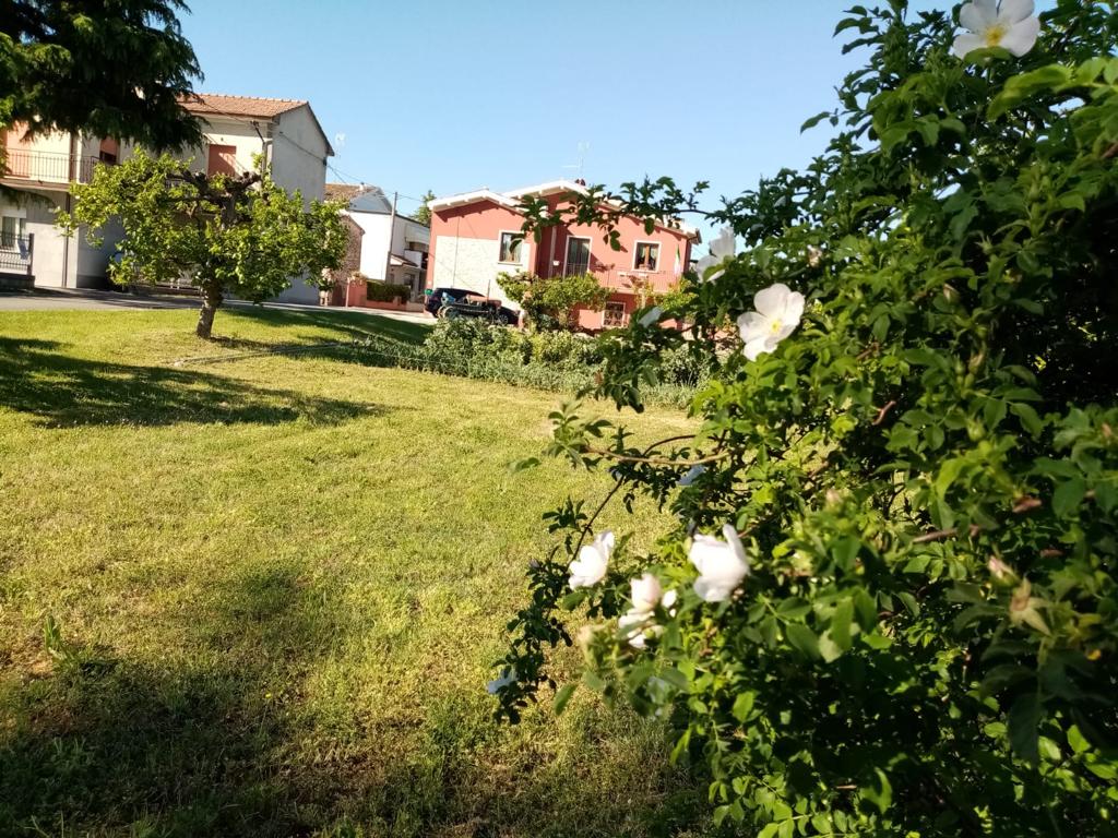 polidori 9