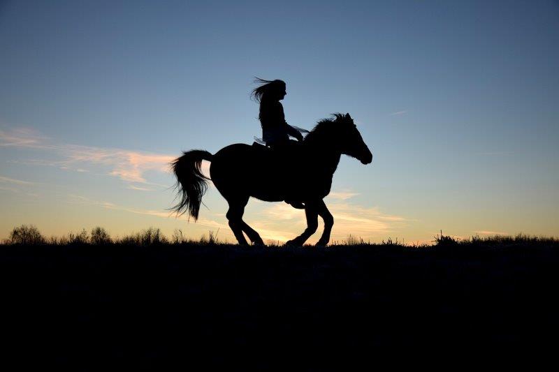 silhouette 2124183 1280