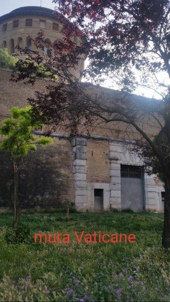 tozzi12 1