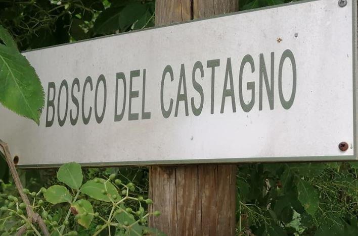 Gregorio foto 8.jpg