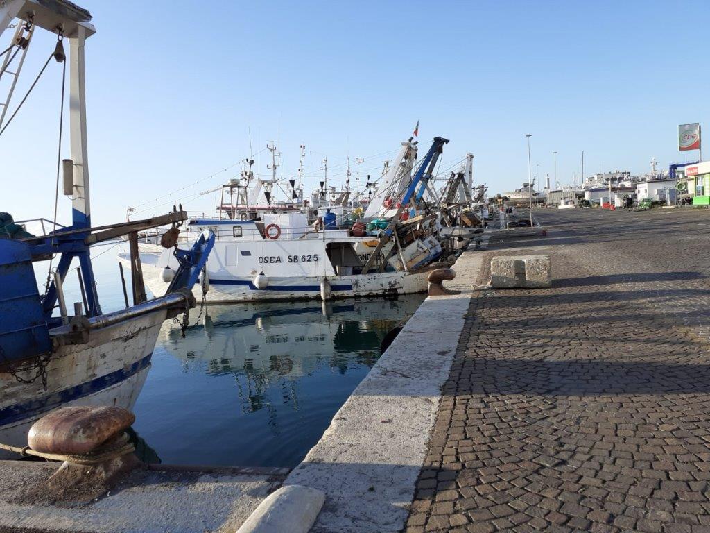 capecci1 (4).jpg