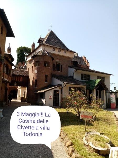 tozzi (5).jpg