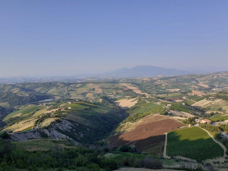 capecci (1).jpg