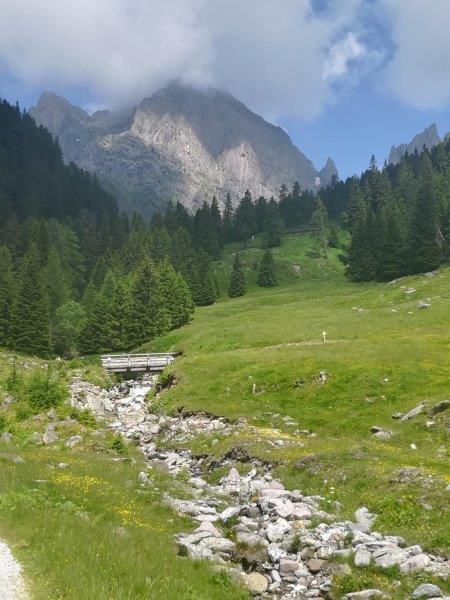 savoia  (6).jpg