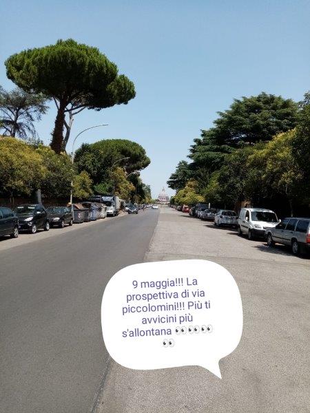 tozzi (12).jpg