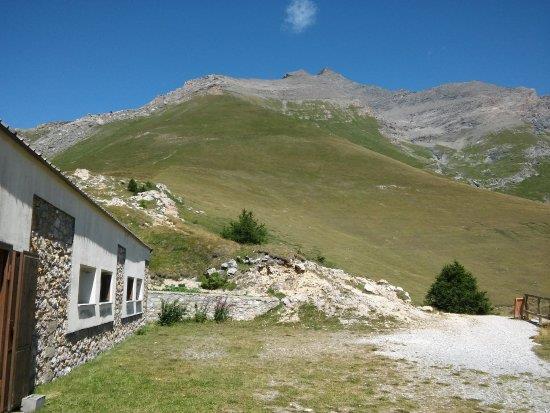 ambrosino (9).jpg